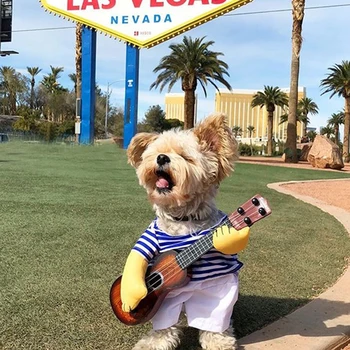 Guitar Player Dogs Clothes Cat Costume Halloween Christmas Special Costume Novelty Funny Pet Party Cosplay Apparel Clothes
Guitar Player Dogs Clothes Cat Costume Halloween Christmas Special Costume Novelty Funny Pet Party Cosplay Apparel Clothes