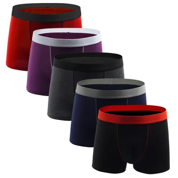 5pcs Cotton Male Panties Men's Underwear Boxers Breathable Man Boxer Solid Underpants Comfortable Shorts calzoncillo hombre
5pcs Cotton Male Panties Men's Underwear Boxers Breathable Man Boxer Solid Underpants Comfortable Shorts calzoncillo hombre