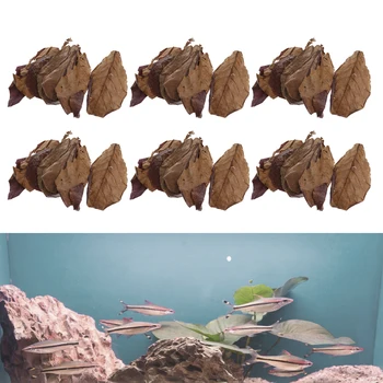 60x Premium Grade Catappa Indian Almond Leaves Perfect for Breeding & Hiding
60x Premium Grade Catappa Indian Almond Leaves Perfect for Breeding & Hiding