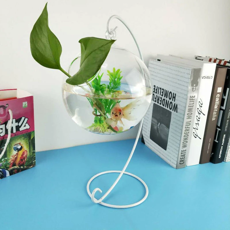 Desktop Hanging Glass Fish Tank Mini Aquatic Plants Vase Fish Tank Transparent Goldfish Tank Creative Iron Support Aquarium
Desktop Hanging Glass Fish Tank Mini Aquatic Plants Vase Fish Tank Transparent Goldfish Tank Creative Iron Support Aquarium