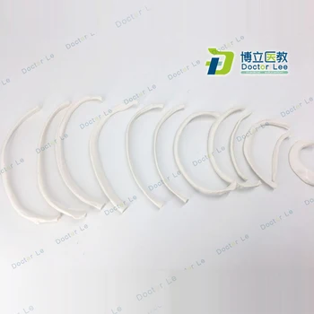 Classic Human Rib Skeleton Models with Numbers for Easy to Use and Learning
Classic Human Rib Skeleton Models with Numbers for Easy to Use and Learning