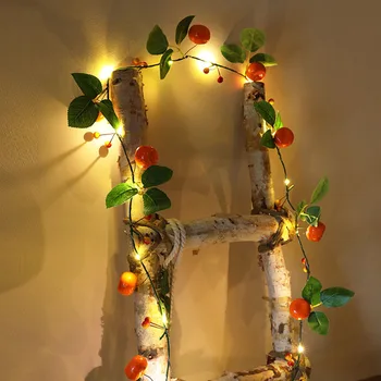 20 LED String Lights Holiday Party Garden Hanging Cage Orange Fruit Lamp Christmas Lampshade Ceiling Light Decoration
20 LED String Lights Holiday Party Garden Hanging Cage Orange Fruit Lamp Christmas Lampshade Ceiling Light Decoration