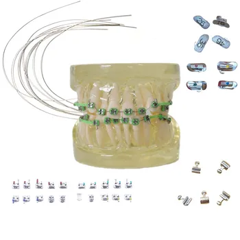 Dental Material Tools Orthodontic Material Ceramic Stainless Steel Niti Ortho wires Tooth Bracket Model Dentist Equipment Supply
Dental Material Tools Orthodontic Material Ceramic Stainless Steel Niti Ortho wires Tooth Bracket Model Dentist Equipment Supply
