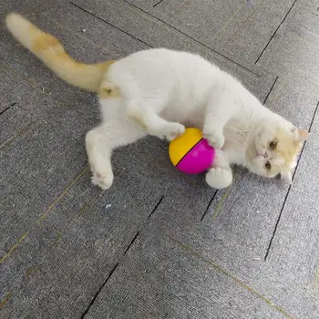 Pet Ball Toy Wireless Remote Control Cat Toy Ball Electric Smart 360 Degrees Automatic Rolling Interactive Scroll Cat Supplies
Pet Ball Toy Wireless Remote Control Cat Toy Ball Electric Smart 360 Degrees Automatic Rolling Interactive Scroll Cat Supplies