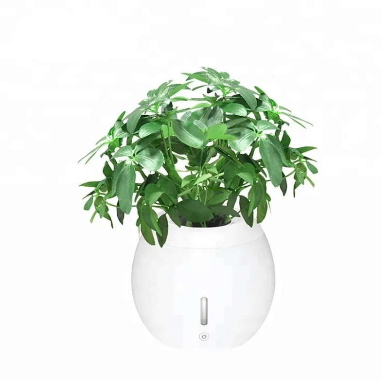 Self-Watering Plant Natural Air Humidifier Planter Smart Indoor Herb Garden Ecological Negative Anion Flower Pots
Self-Watering Plant Natural Air Humidifier Planter Smart Indoor Herb Garden Ecological Negative Anion Flower Pots