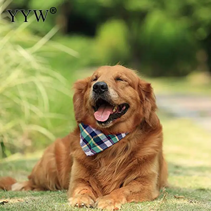 6PC/Lot Pet Dog Bandana Small Large Dog Bibs Scarf Washable Cozy Cotton Plaid Printing Puppy Kerchief Bow Tie Pet Grooming
6PC/Lot Pet Dog Bandana Small Large Dog Bibs Scarf Washable Cozy Cotton Plaid Printing Puppy Kerchief Bow Tie Pet Grooming
