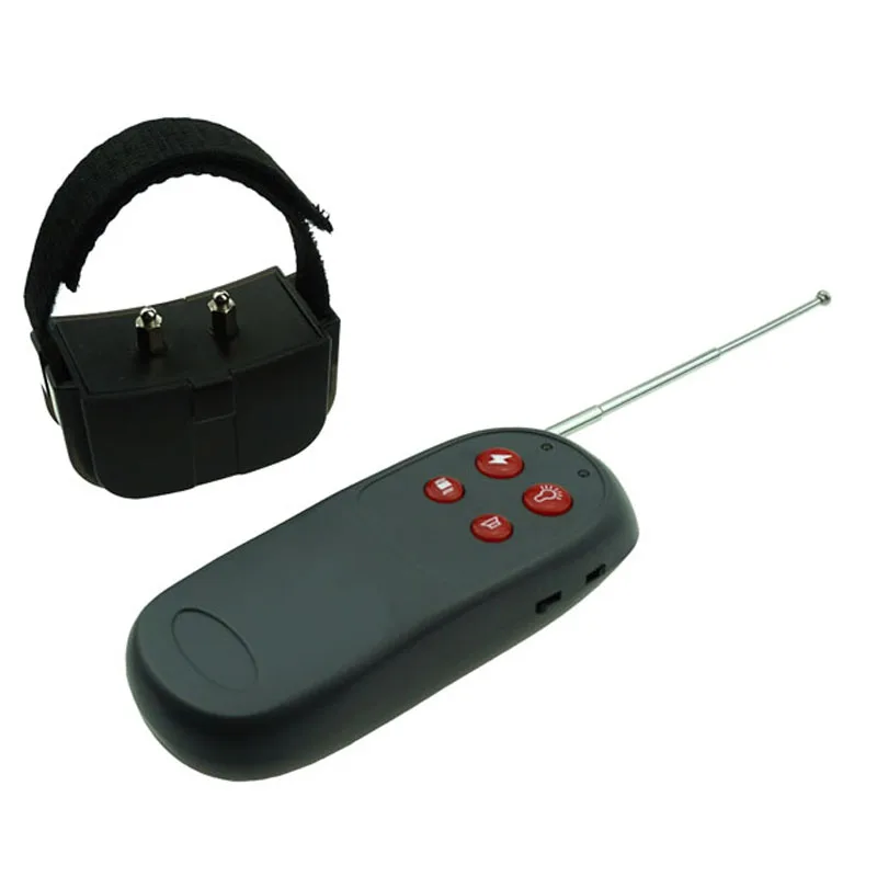 Дистанционный Вибратор История