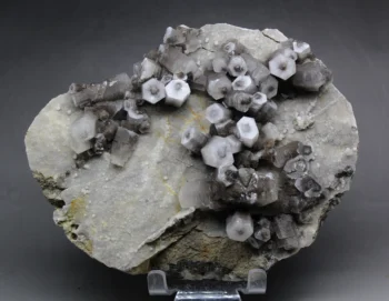 1069g natural columnar calcite clusters mineral specimen stones and crystals healing crystals quartz gemstones free shipping
1069g natural columnar calcite clusters mineral specimen stones and crystals healing crystals quartz gemstones free shipping