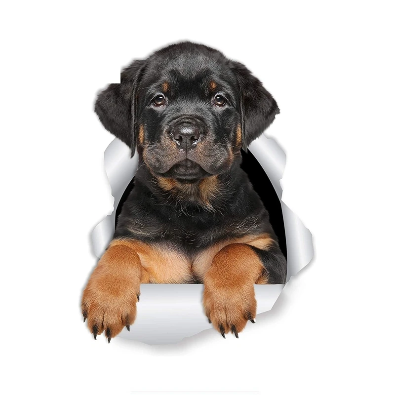 3D Rottweiler Puppy Dog for Laptop Luggage Refrigerator Door Waterproof Toy Car Sticker Decal KK Vinyl Decals Waterpro of PVC
3D Rottweiler Puppy Dog for Laptop Luggage Refrigerator Door Waterproof Toy Car Sticker Decal KK Vinyl Decals Waterpro of PVC