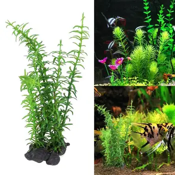 Simulation Reptile Landscaping Plants Decorate Plastic Flowers For Outdoor Aquarium Ornament Decoration Reptile Accessories 
Simulation Reptile Landscaping Plants Decorate Plastic Flowers For Outdoor Aquarium Ornament Decoration Reptile Accessories