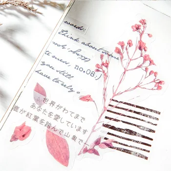 1 Pc Cute Flower Stickers Transparent PET Sticker Scrapbooking Plant Decoration Stickers Scrapbooking Journal Ablum
1 Pc Cute Flower Stickers Transparent PET Sticker Scrapbooking Plant Decoration Stickers Scrapbooking Journal Ablum