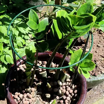 Plant Support Green Garden Plant Support Ring Border Strong Plant Support Ring Cage 2Pcs Durable Garden Plant Supports
Plant Support Green Garden Plant Support Ring Border Strong Plant Support Ring Cage 2Pcs Durable Garden Plant Supports