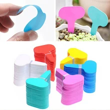 100pcs Garden Labels Plant Classification Sorting Sign Tag Ticket Plastic Writing Plate Board Plug In Card Colorful
100pcs Garden Labels Plant Classification Sorting Sign Tag Ticket Plastic Writing Plate Board Plug In Card Colorful
