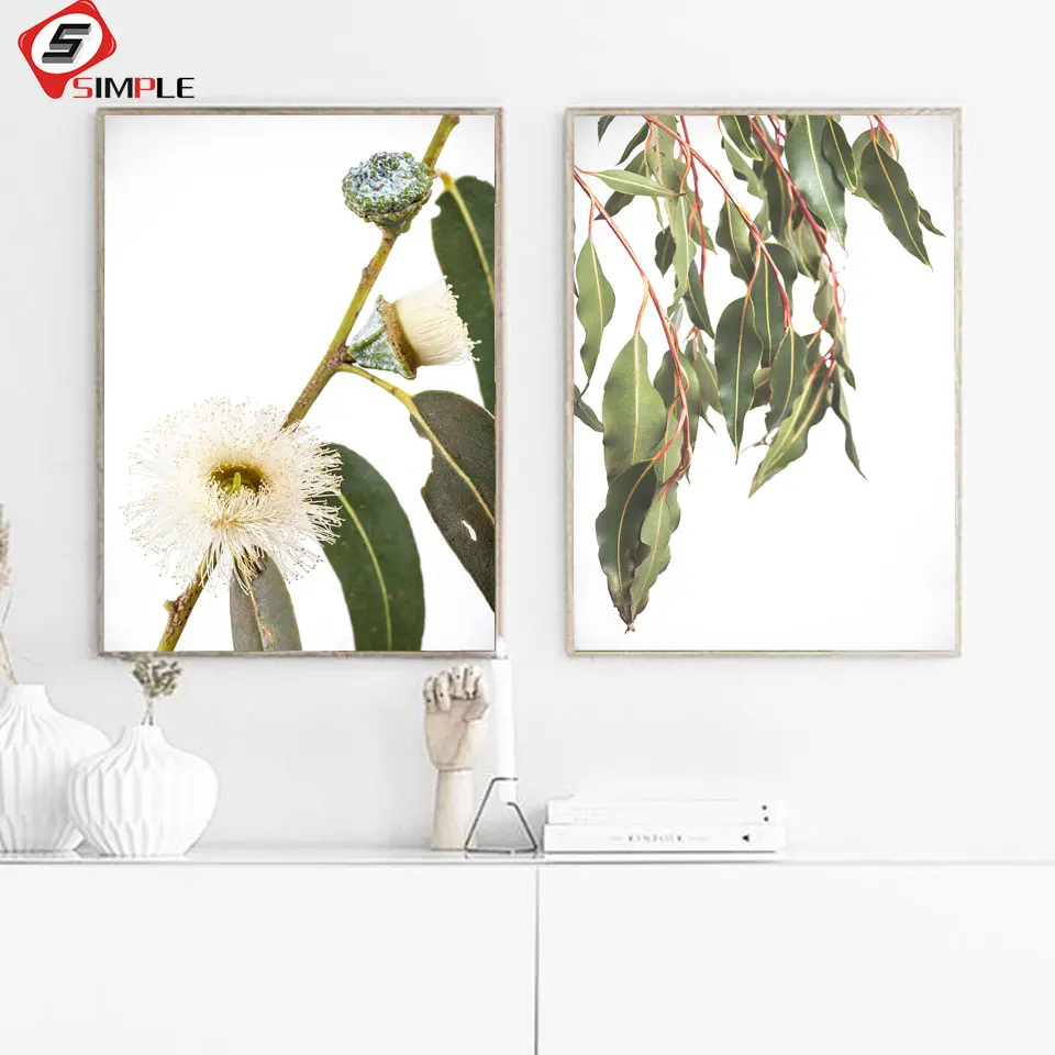 Eucalyptus Australian Native Gum Flower Nordic Posters And Prints Wall Art Canvas Painting Wall Pictures For Living Room Decor
Eucalyptus Australian Native Gum Flower Nordic Posters And Prints Wall Art Canvas Painting Wall Pictures For Living Room Decor