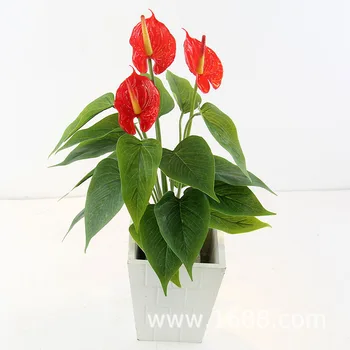 Simulation Bonsai Low Price High-quality Imitation to 21 Head Anthurium Andraeanum Lind Desktop Furnishings Decorative Bonsai Fa
Simulation Bonsai Low Price High-quality Imitation to 21 Head Anthurium Andraeanum Lind Desktop Furnishings Decorative Bonsai Fa