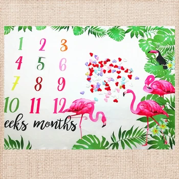 Lychee Flannel Flamingo Milestone Blanket Monthly Growth Blanket Photography Props Background Blanket
Lychee Flannel Flamingo Milestone Blanket Monthly Growth Blanket Photography Props Background Blanket