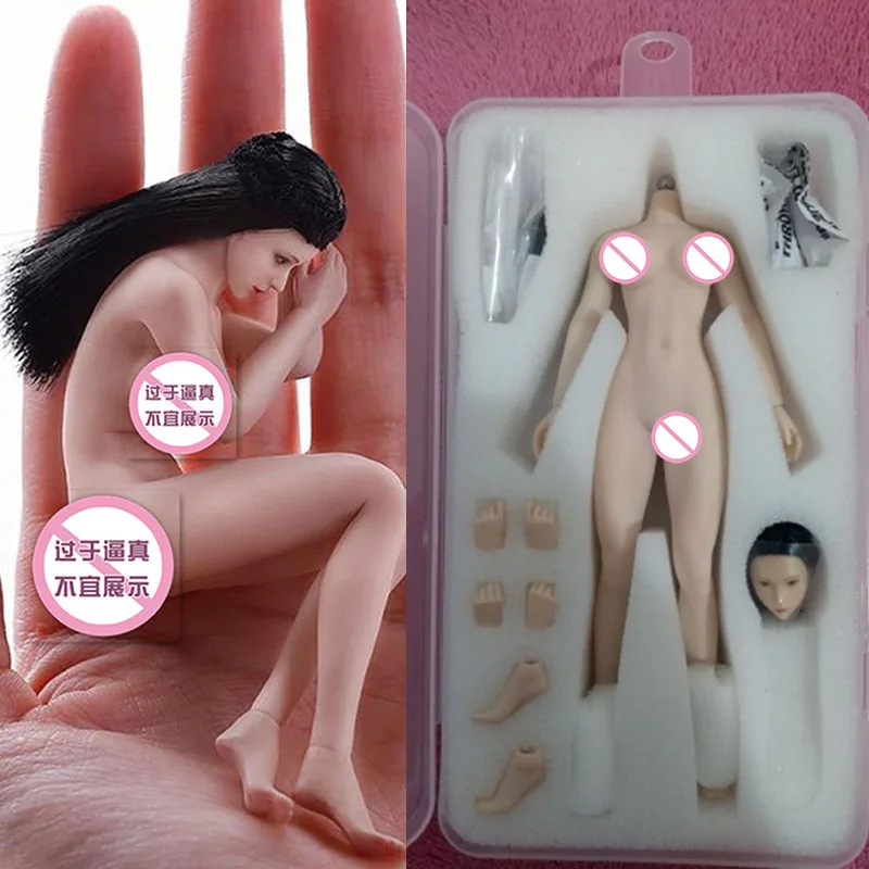 14.8cm HICEN TBLeague PHMB2018-T01 1/12 Scale Collectible Full Set Female Action Figure Head Body Clothes for Fans Gifts
14.8cm HICEN TBLeague PHMB2018-T01 1/12 Scale Collectible Full Set Female Action Figure Head Body Clothes for Fans Gifts