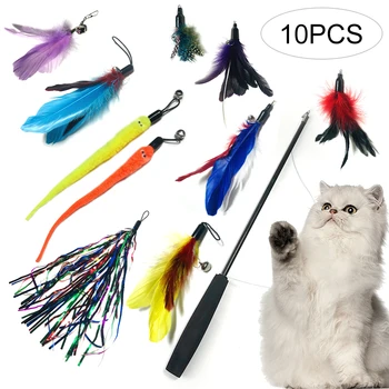 10pcs Interactive Pet Cat Playing Feather Toy Set Funnny Pet Cat Training Feather Toy Set Durable Pet Playing Supplies
10pcs Interactive Pet Cat Playing Feather Toy Set Funnny Pet Cat Training Feather Toy Set Durable Pet Playing Supplies