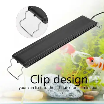 7 Colors LED Aquarium Light Clip Lamp with Remote Control AU Plug 220V-240V Aquarium Clip Lamp
7 Colors LED Aquarium Light Clip Lamp with Remote Control AU Plug 220V-240V Aquarium Clip Lamp