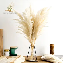 

NEW TY Pampas Grass Decor White Color Natural Dried Flowers Fluffy Bleached Bouquet Boho Vintage Style for Wedding Home