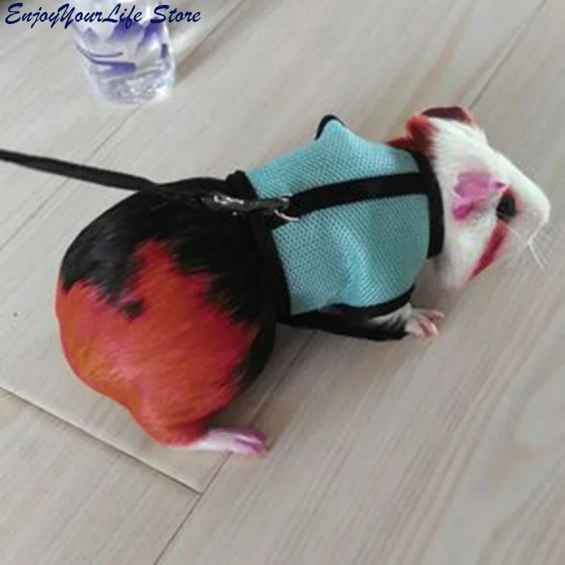 Pet Dog Cat Hamster Rabbit Harness And Leash Set Ferret Guinea Pig Small Animal Pet Walk Lead For Small Pets Clothes 3 Colors
Pet Dog Cat Hamster Rabbit Harness And Leash Set Ferret Guinea Pig Small Animal Pet Walk Lead For Small Pets Clothes 3 Colors