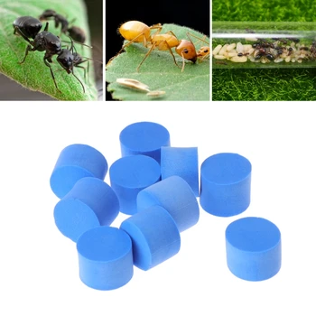 10pcs Ant Farm Plug 15mm 18mm For Insect Nest Water Block Tube Moisture Feeding
10pcs Ant Farm Plug 15mm 18mm For Insect Nest Water Block Tube Moisture Feeding