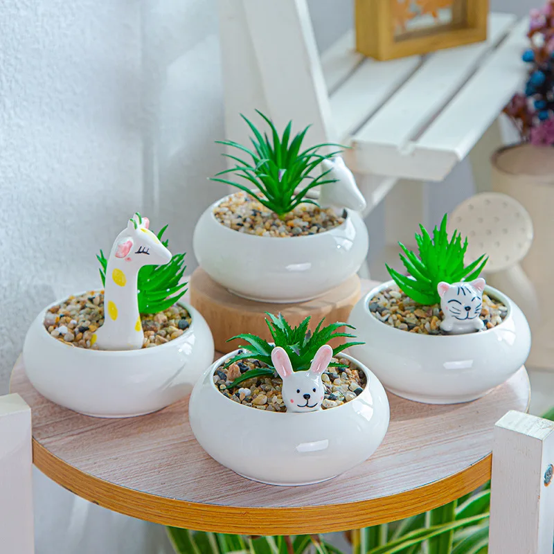 Succulent Flowerpots Creative Small Animal Meat Flowerpot Simple Personalized White Porcelain Basin Ceramic Vase
Succulent Flowerpots Creative Small Animal Meat Flowerpot Simple Personalized White Porcelain Basin Ceramic Vase