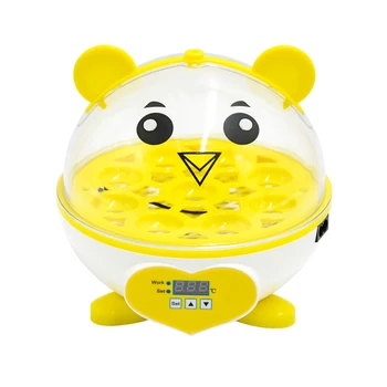 9 Egg Incubator Poultry Incubator Brooder Digital Temperature Control Egg Incubator Hatcher Bird Egg Incubator
9 Egg Incubator Poultry Incubator Brooder Digital Temperature Control Egg Incubator Hatcher Bird Egg Incubator