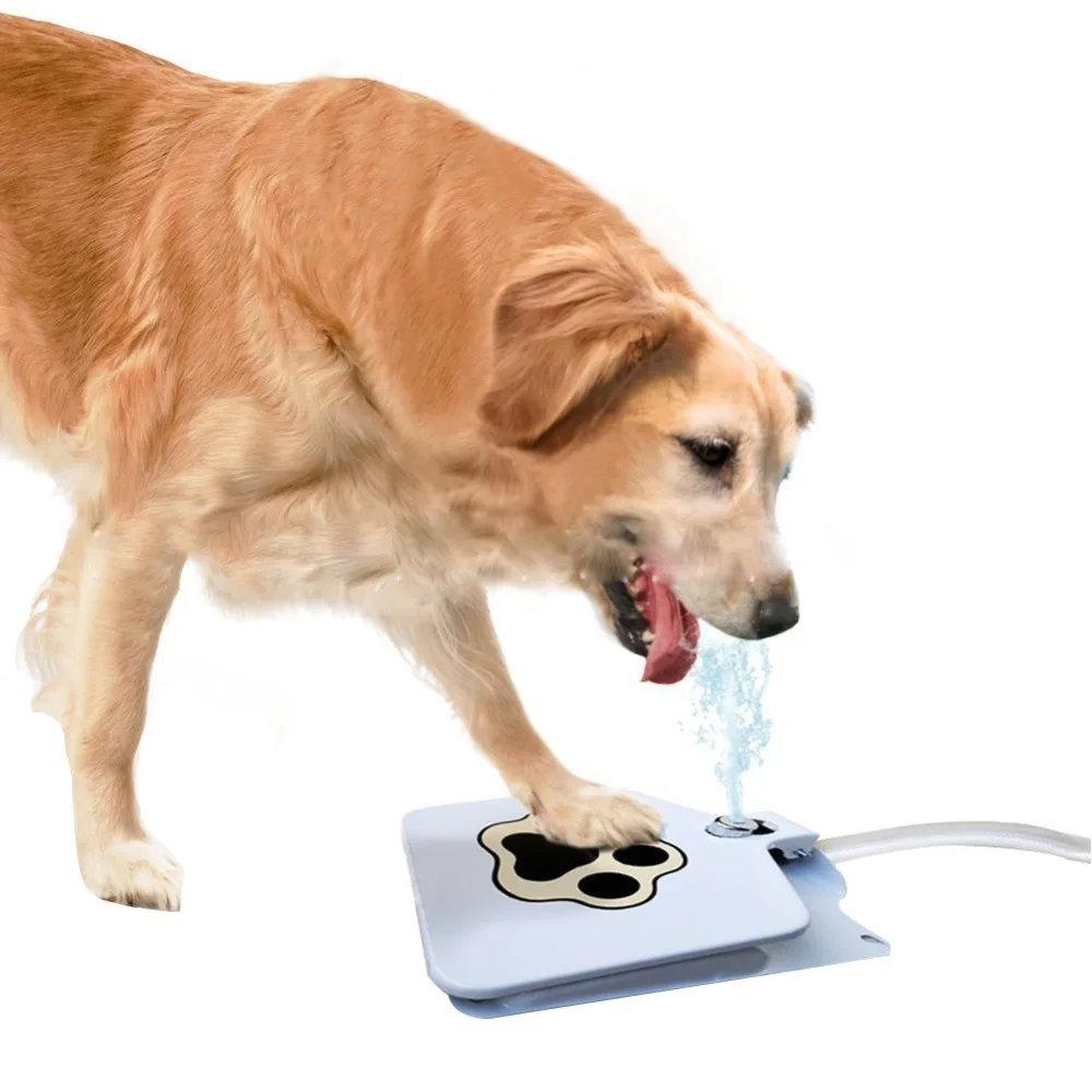 9016838582_599665795