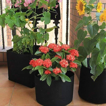 5pcs Grow Bags Plant Pouch Ventilated Reusable Raising Containers Flower Pot 3 7 10 15 Gallon Vegetable Yard Non Woven Garden
5pcs Grow Bags Plant Pouch Ventilated Reusable Raising Containers Flower Pot 3 7 10 15 Gallon Vegetable Yard Non Woven Garden