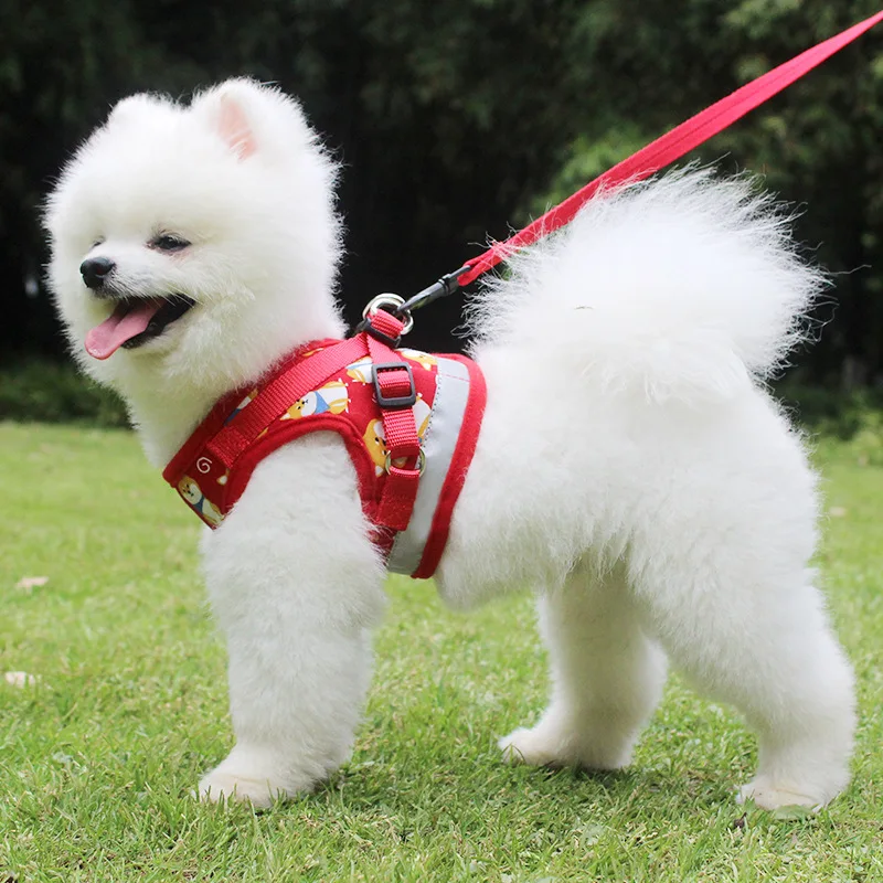 Cute Small Dog Harness Vest Dog Harness Chest Strap Collar Leash Set Shiba Inu Pattern Breathable Breast Strap Breakaway
Cute Small Dog Harness Vest Dog Harness Chest Strap Collar Leash Set Shiba Inu Pattern Breathable Breast Strap Breakaway