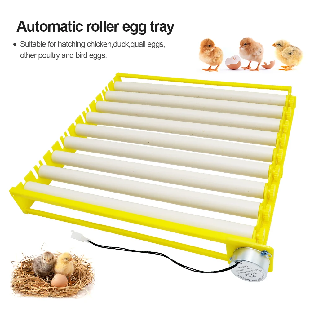 Automatic 360 Degree Rotary Egg Turner Roller Tray Farm Incubation Tool Duck Quail Bird Poultry Eggs Hatching Incubator N01
Automatic 360 Degree Rotary Egg Turner Roller Tray Farm Incubation Tool Duck Quail Bird Poultry Eggs Hatching Incubator N01