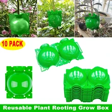 10pcs Plant Rooting Ball Grafting Rooting Growing Box Green Plant Rooting High Pressure Grafting Breeding Case for Garden
10pcs Plant Rooting Ball Grafting Rooting Growing Box Green Plant Rooting High Pressure Grafting Breeding Case for Garden