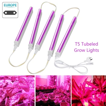 5X LED T5 Grow Light Bar Full Spectrum LED Growing Hydroponic Plant EU Plug T5 Tube Light T5 Strip Light 5 Pcs Grow Lights
5X LED T5 Grow Light Bar Full Spectrum LED Growing Hydroponic Plant EU Plug T5 Tube Light T5 Strip Light 5 Pcs Grow Lights