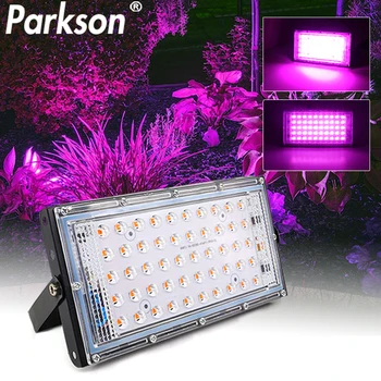 AC220V Led Flood light 50W LED plant growth lamp Floodlight Full Spectrum LED Grow Light Greenhouse Hydroponic Plant spotlight
AC220V Led Flood light 50W LED plant growth lamp Floodlight Full Spectrum LED Grow Light Greenhouse Hydroponic Plant spotlight