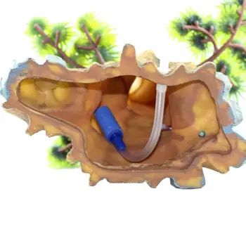 Simulated Tree Roots Arch Aquarium Fish Tank Landscaping Decoration Vintage
Simulated Tree Roots Arch Aquarium Fish Tank Landscaping Decoration Vintage