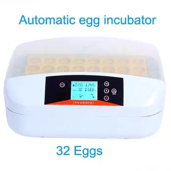 home mini 32 eggs thermostat for incubator Automatic egg incubator hatcher mute intelligent control with LCD Alarm
home mini 32 eggs thermostat for incubator Automatic egg incubator hatcher mute intelligent control with LCD Alarm
