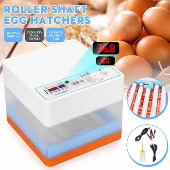 20 Eggs Hatcher Full-automatic Egg Incubator Intelligent Electronic Hatching Machine For Chicken Duck Transparent EU Plug
20 Eggs Hatcher Full-automatic Egg Incubator Intelligent Electronic Hatching Machine For Chicken Duck Transparent EU Plug