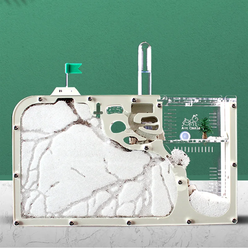 Acrylic Ant Farm Castle Ant Nest With Feeding Area DIY Ecological Workshop Ant Insect Habitat Science Learning Kit
Acrylic Ant Farm Castle Ant Nest With Feeding Area DIY Ecological Workshop Ant Insect Habitat Science Learning Kit