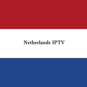 Netherlands IPTV Android TV Box Stable TV Sports FHD M3U Smart TV IOS Android PC French IPTV European IPTV
Netherlands IPTV Android TV Box Stable TV Sports FHD M3U Smart TV IOS Android PC French IPTV European IPTV