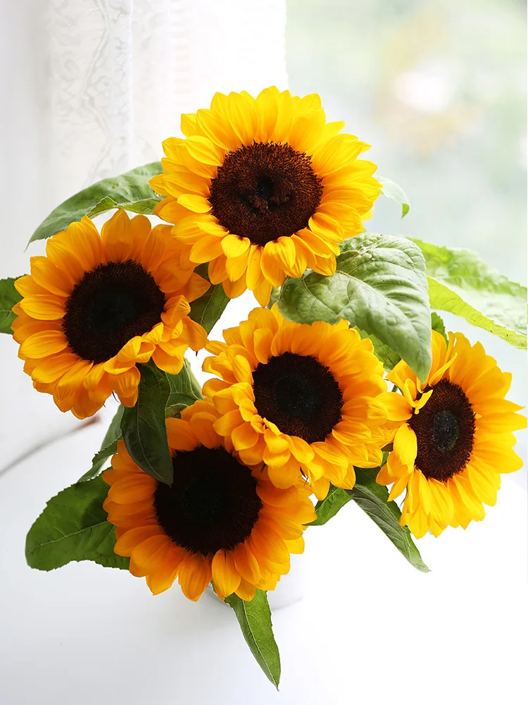 Yi mu Flower Field Yunnan Kunming Base Straight Hair Family Flower Direct Supply Sunflower Household Flower Arrangement
Yi mu Flower Field Yunnan Kunming Base Straight Hair Family Flower Direct Supply Sunflower Household Flower Arrangement
