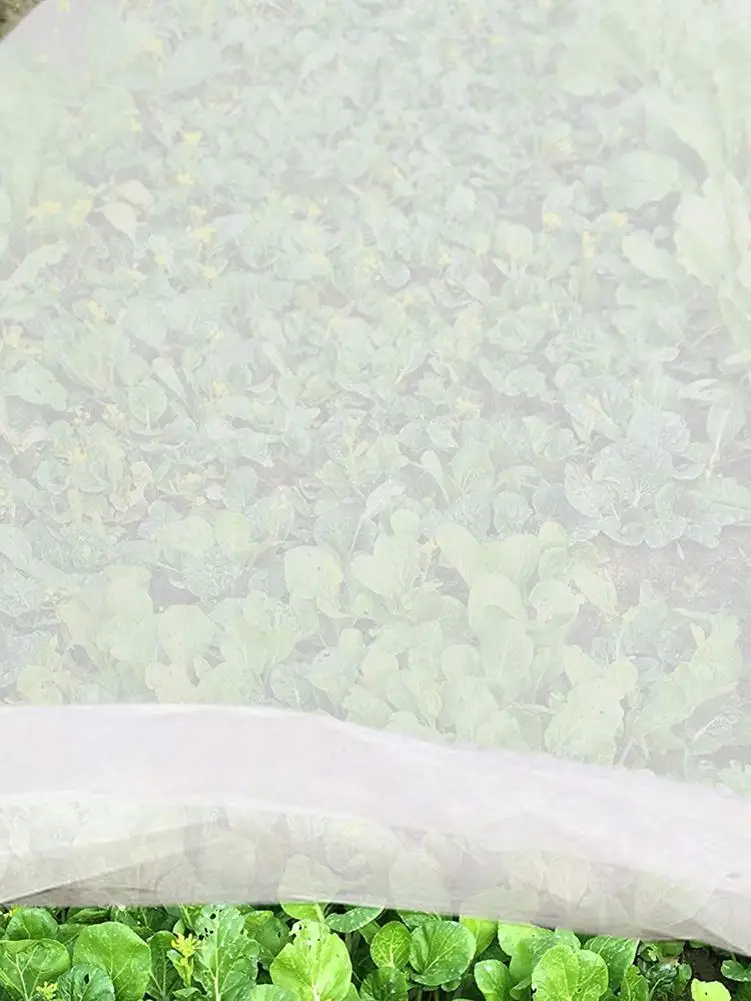 Garden Plant Shrub Cover Antifreeze Protection Plant Blanket Frost Winter Protection Plant Reflective Film
Garden Plant Shrub Cover Antifreeze Protection Plant Blanket Frost Winter Protection Plant Reflective Film