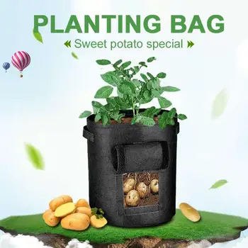 Tomato Planting Bag Plant Grow Bag Potato Grow Pot Nonwoven Creative Practical Balcony Spring Garden Patio Storage Container
Tomato Planting Bag Plant Grow Bag Potato Grow Pot Nonwoven Creative Practical Balcony Spring Garden Patio Storage Container