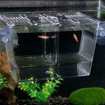 Aquarium Fish Breeding Isolation Box Breeder Box Fish Incubator Woth High Strength Suction Cup Fish Breeding Accessories Product
Aquarium Fish Breeding Isolation Box Breeder Box Fish Incubator Woth High Strength Suction Cup Fish Breeding Accessories Product