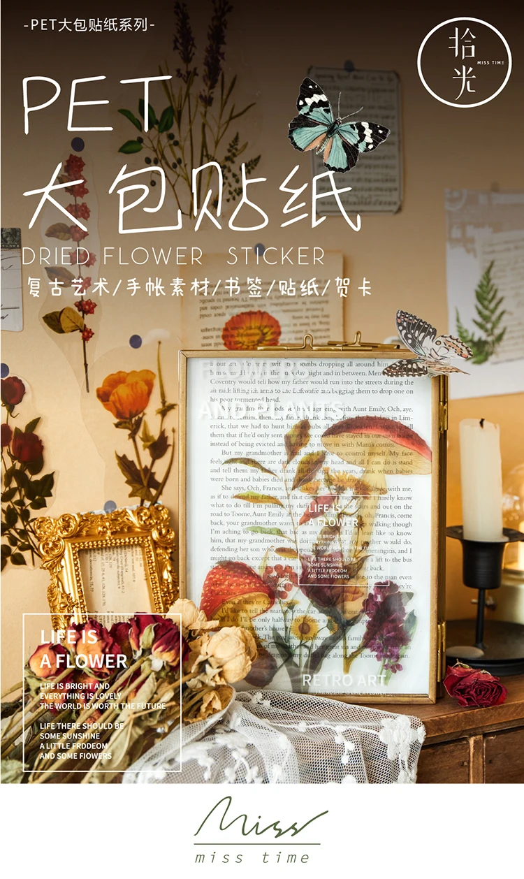 详情切片_01
