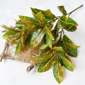 Green Plant Artificial 3 Fork Godseffiana Plant Wall with Wood Plastic Leaf Feel Leafstar Tiger Wood Bundle of Pot
Green Plant Artificial 3 Fork Godseffiana Plant Wall with Wood Plastic Leaf Feel Leafstar Tiger Wood Bundle of Pot