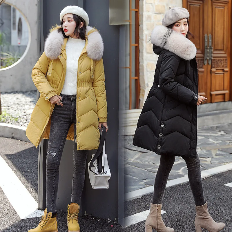 Short-height down Jacket Cotton-padded Clothes Women's Mid-length 2019 Winter New Style Korean-style Elastic Slim Fit Belt Thick
Short-height down Jacket Cotton-padded Clothes Women's Mid-length 2019 Winter New Style Korean-style Elastic Slim Fit Belt Thick