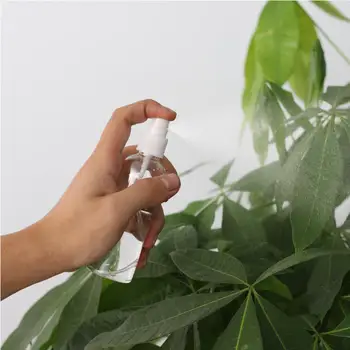 1Pcs Transparent Empty Spray Bottles 30ml/50ml/100ml Plastic Mini Refillable Container Empty Cosmetic Containers Wholesale
1Pcs Transparent Empty Spray Bottles 30ml/50ml/100ml Plastic Mini Refillable Container Empty Cosmetic Containers Wholesale