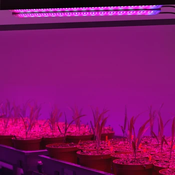 LED Grow Light Full Spectrum USB LED Strip 48LEDs Phyto Lamps For Indoor Flower Seed Hydroponic Plant Growing Lamp
LED Grow Light Full Spectrum USB LED Strip 48LEDs Phyto Lamps For Indoor Flower Seed Hydroponic Plant Growing Lamp