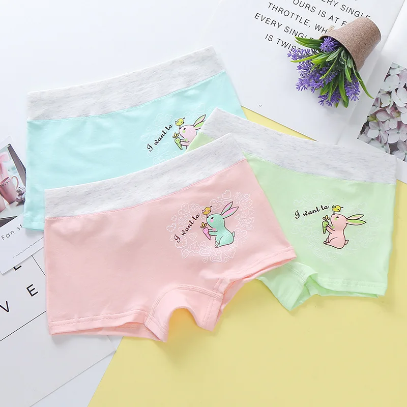 3 pieces/lot new Children's Triangle Underwear, Cotton Children's Underwear, Little White Rabbit Underwear, Girl's Underwear 
3 pieces/lot new Children's Triangle Underwear, Cotton Children's Underwear, Little White Rabbit Underwear, Girl's Underwear